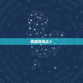 婚姻预测占卜，算卦婚姻测试孟宪伟