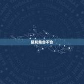 鼠和兔合不合，请问属鼠和属兔的合吗？