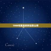 1988年属龙的财运怎么样，1988年属龙2017年财运怎样