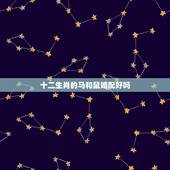 十二生肖的马和鼠婚配好吗，属相婚配：男属马和女属鼠相配吗
