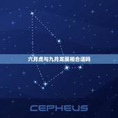 六月虎与九月龙属相合适吗，属虎和属龙的合适吗？