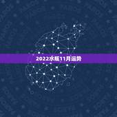 2022水瓶11月运势，2021年水瓶座下半年运势？