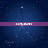 属鼠今天财运如何，属鸡今天财运