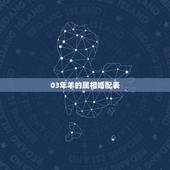 03年羊的属相婚配表，属相婚配：男属羊和女属虎相配吗
