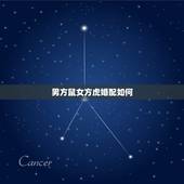 男方鼠女方虎婚配如何，属鼠和属虎的婚配好吗？