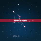 招财树怎么扦插，发财树如何栽培繁殖？
