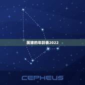 属猪的年龄表2022，2022 属猪的年份表及年龄