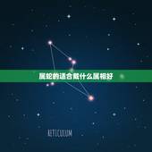 属蛇的适合戴什么属相好，属蛇的戴蛇的饰物可以吗