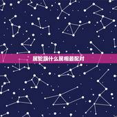 属蛇跟什么属相最配对，天珠佩戴禁忌与属相