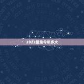 2022属兔今年多大，属鼠的今年多大