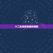 十二生肖蛇和猪的婚配，十二生肖配对，蛇，和猪，可以配对吗