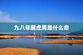 九八年属虎男是什么命，1998年属虎子时出生男孩