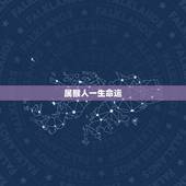 属猴人一生命运，属猴命运的揭秘