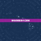 猪和虎婚配忌什么属相，十二生肖猪的婚配和虎合适吗？