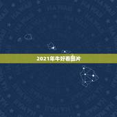 2021年牛好看图片，2021年牛年叫什么丑年