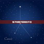 兔子和猴子属相合不合，“虎猴一家不贵必富”是什么意思？