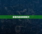 属猪的最佳婚姻配对，1999年兔男的最佳婚姻配对是
