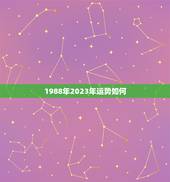 1988年2023年运势如何，属龙人2023年运势怎么样？