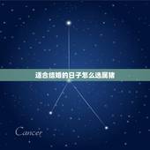 适合结婚的日子怎么选属猪，结婚吉日怎么选？