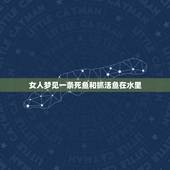 女人梦见一条死鱼和抓活鱼在水里，女人梦见捉鱼，水里有死鱼有活鱼，想捉一