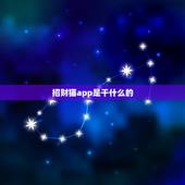 招财猫app是干什么的，在小肚皮软件里招财猫是什么意思？