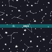 2022 年生肖羊是什么命，2022 年属羊是什么命五行