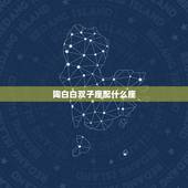陶白白双子座配什么座，和双子座最配的是什么星座啊？