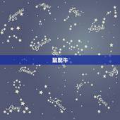 属相生肖配对姻缘查询(介绍十二生肖的姻缘奥秘)