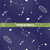 1969年五行属什么，1969年属鸡五行什么命