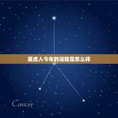 属虎人今年的运程是怎么样 2022年虎女的运势如何