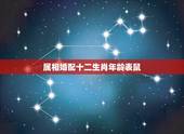 属相婚配十二生肖年龄表鼠，生肖鼠跟什么最配，属鼠的属相婚配表