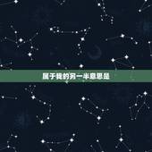 属于我的另一半意思是，有个女孩对我说你是我的另一半是什么意思