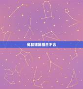 兔和猪属相合不合，猪和兔合不合财