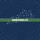 属猪属鸡婚姻怎么样，属猪的和属鸡合婚吗