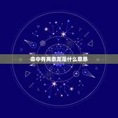 命中有两条龙是什么意思，命中有两龙一虎一羊是什么意思