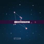 属蛇的克属鼠的嘛，属蛇的守护