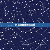 71年属猪中晚年运势，71年属猪的终身寿命