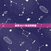 算命2021年运势属猪，属猪人2021年运势运程每月运程
