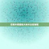 石榴木男猴和大林木女蛇婚配，石榴木命于大林木命配吗