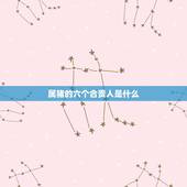 属猪的六个合贵人是什么，猪的六合贵人是什么