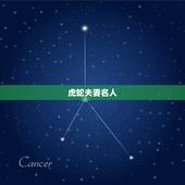 虎蛇夫妻名人，儿孙满堂老人欢、长恨离别夫妻难：什么意思或者什么生肖