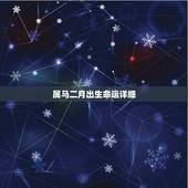 属马二月出生命运详细，1978年二月属马的命运