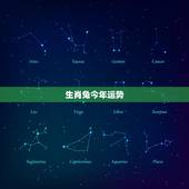 生肖兔今年运势，2022年生肖鸡运势