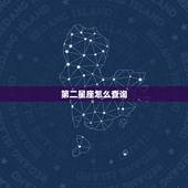 第二星座怎么查询，怎么查星座才最准确