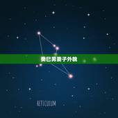 癸巳男妻子外貌，十大富贵日柱