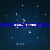 82年狗人一生三次婚姻，82年的狗一生的命