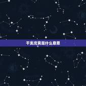 干支戊寅是什么意思，天干地支计算公式