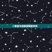 老鼠与鸡属相婚配好吗，属鸡和属鼠的合的来吗？
