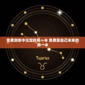 免费测命中注定的另一半 免费算自己未来的另一半