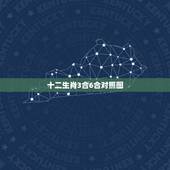 十二生肖3合6合对照图，十二生肖纪年对照表